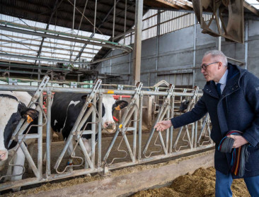 Diependaele over oproer stikstof: “Beleid gaat niet op de schop, we gaan voort met  wat is afgesproken”