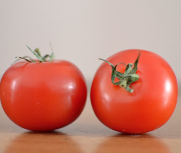 Recept voor de laatste zomerdagen: tomaten (uit volle grond) in de oven