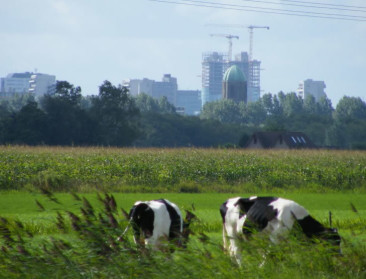 Niet natuur maar gezondheid zwaarste kost van mest