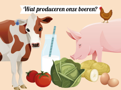 Groenten, vlees of bloemen: wat produceren onze boeren?