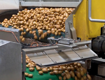 Clarebout in Amerikaanse handen na historische frietdeal met JR Simplot