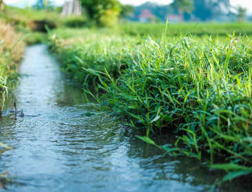 Nitraatgehalte in oppervlaktewater op laagste peil ooit: “Inspanningen van landbouwers werpen vruchten af”