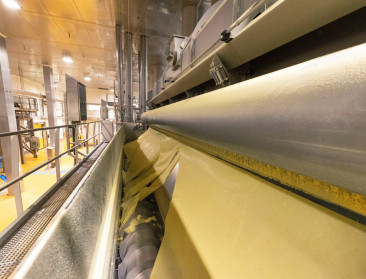 Clarebout pauzeert productielijn in Nieuwkerke: wat betekent dit voor de toekomst?