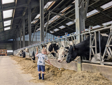 Provincie Antwerpen stopt met subsidies aan Boeren op een Kruispunt