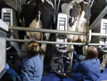 “Is de baas thuis?” De boerin als spil van het bedrijf, maar zelden genoeg erkend