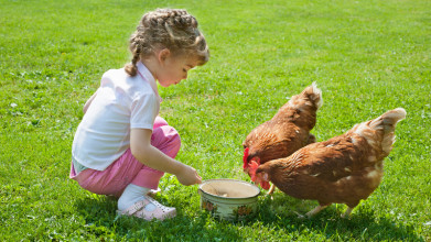 Hoe kinderen laten kennismaken met landbouw & voeding: thuis