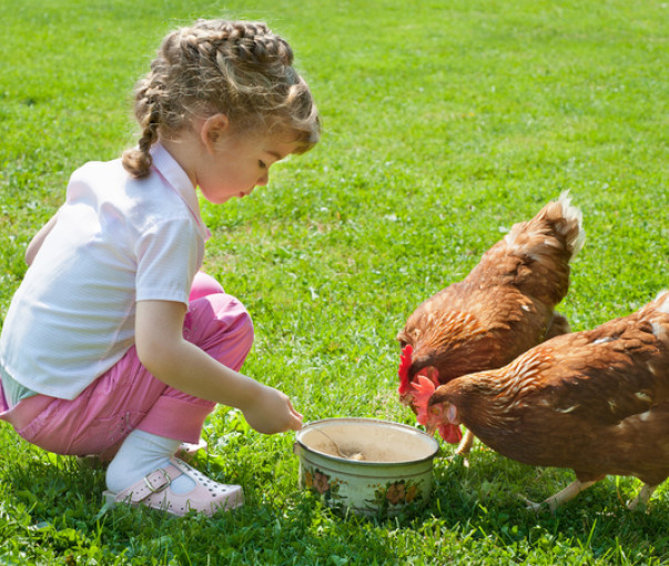 Hoe kinderen laten kennismaken met landbouw & voeding: thuis