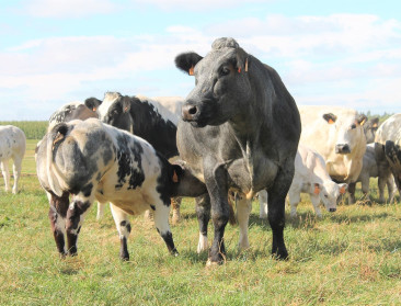 Helft van wat de landbouw produceert, komt niet op ons bord terecht