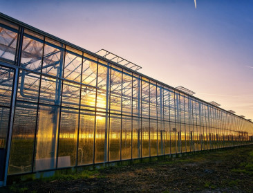Zijn uitbreidingen nog mogelijk in de glastuinbouwsector?