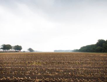 Pachtprijs stijgt verder, West-Vlaanderen de duurste provincie