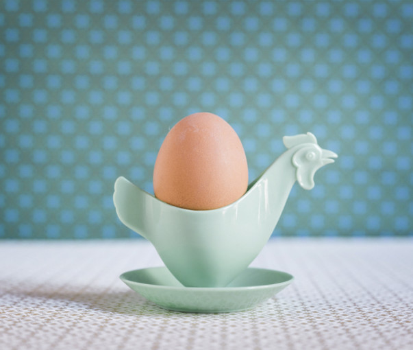 Wereldeidag: kunnen eieren de wereld voeden? 