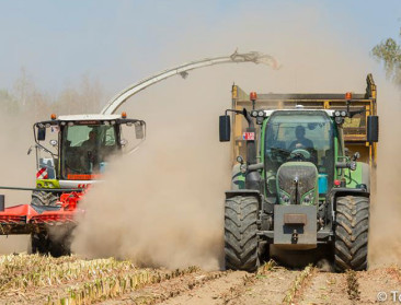 Goede vooruitzichten voor gerst, hitte zorgt voor spanning bij aardappelen en maïs
