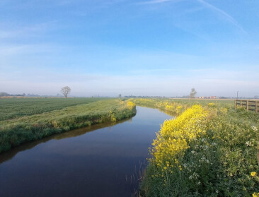 30 hectare landbouwgrond maakt plaats voor robuuster waterbeheer in Westhoek