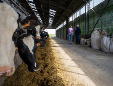 Stikstofbeleid in uitvoering: al 374 bedrijven lieten zich betalen voor vrijwillige stopzetting