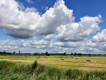 Vlaanderen heeft akkoord over nieuw ruimtelijk beleid: meer ontharding, meer verdichting en meer open ruimte