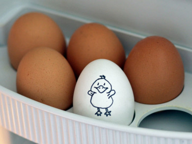 Biomelk en -eieren: wat betekent dat nu precies?